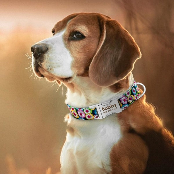 Personalised Dog Collar