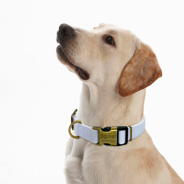 Vintage Personalised Dog Collar