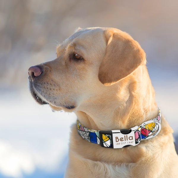 Fashion Personalised Dog Collar